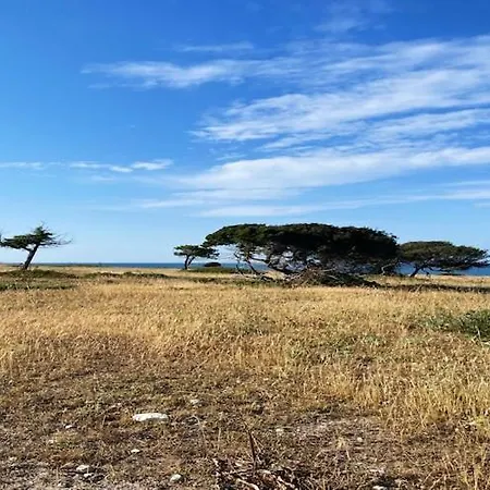 In A Drive Away From The Sea